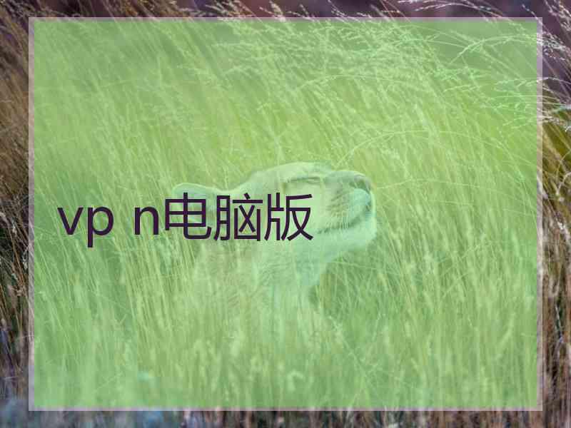 vp n电脑版