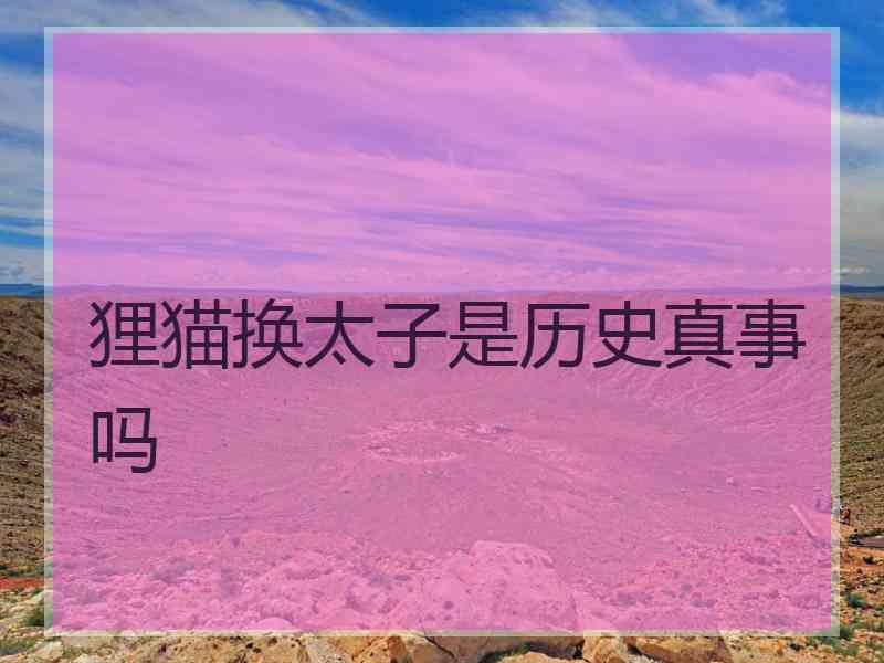 狸猫换太子是历史真事吗