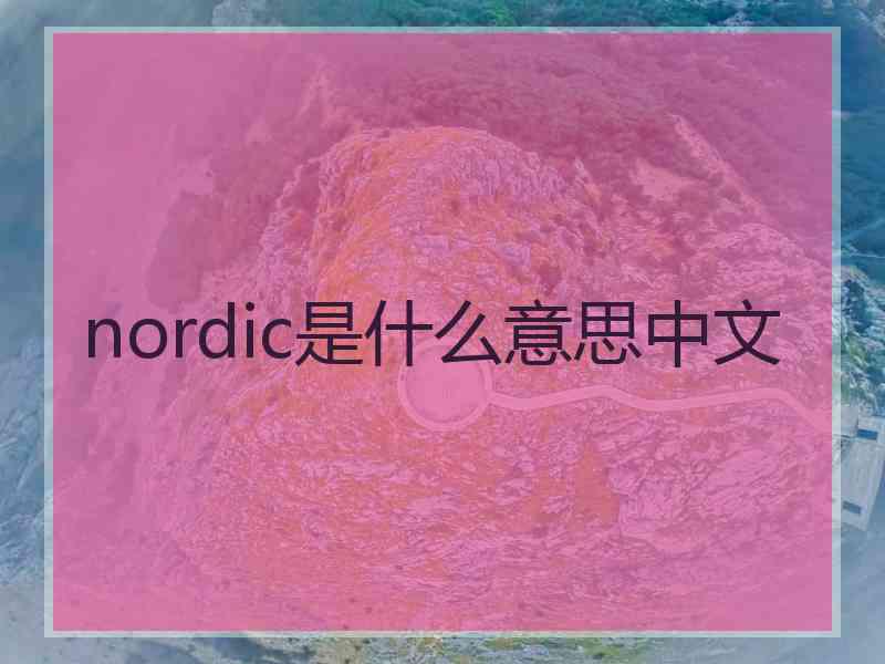 nordic是什么意思中文