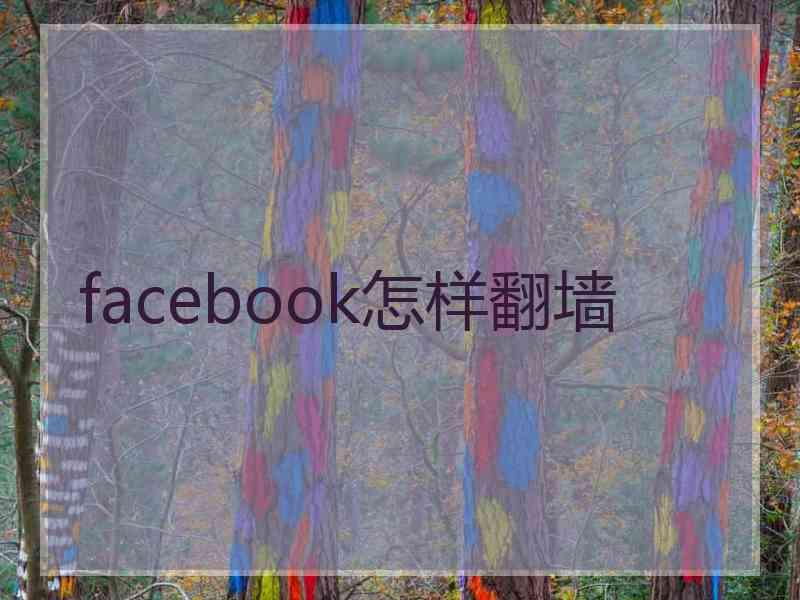 facebook怎样翻墙