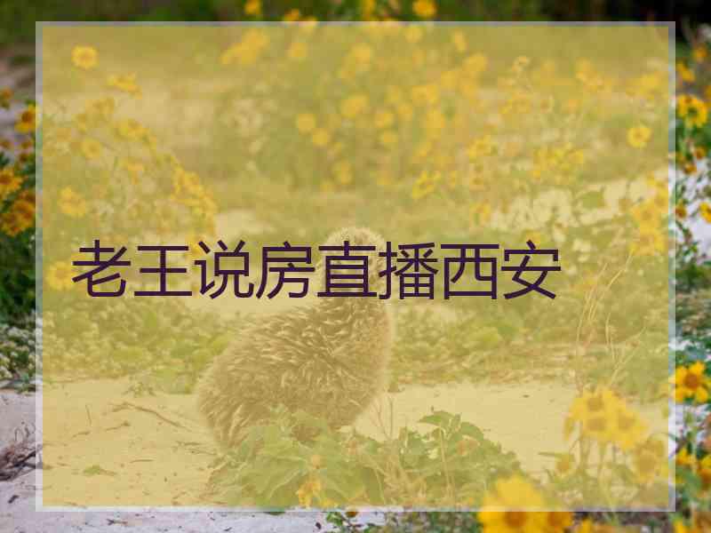 老王说房直播西安