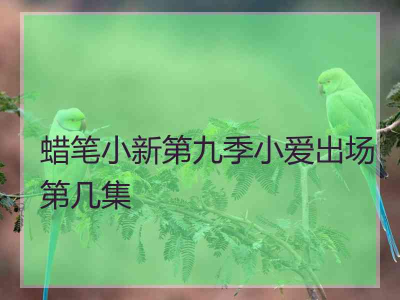 蜡笔小新第九季小爱出场第几集