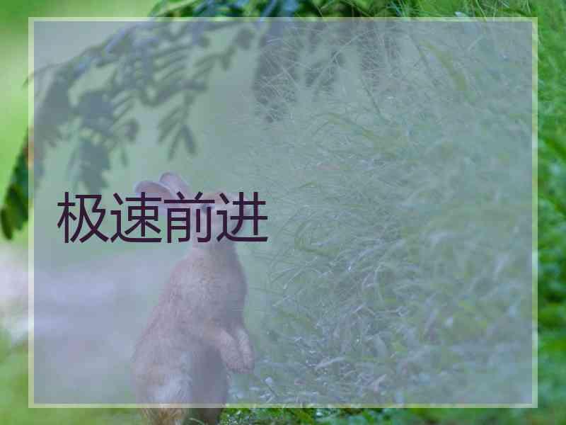 极速前进