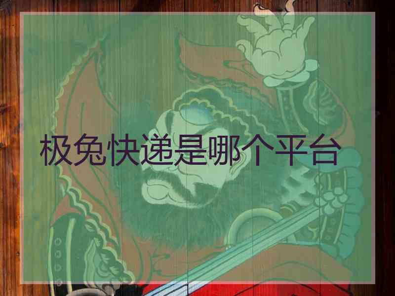 极兔快递是哪个平台