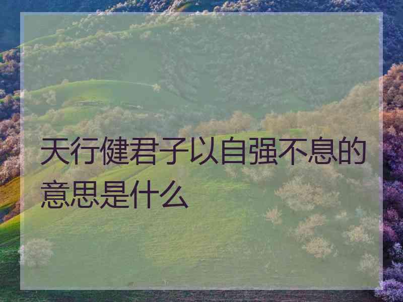 天行健君子以自强不息的意思是什么