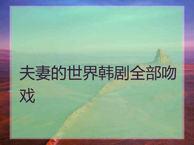 夫妻的世界韩剧全部吻戏