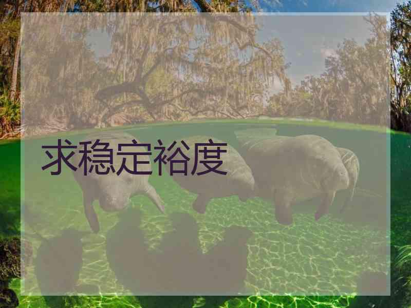 求稳定裕度
