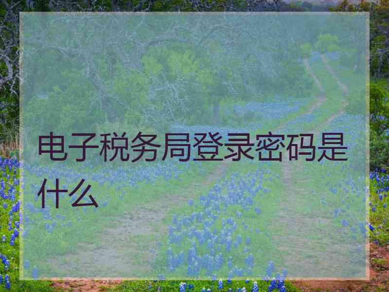 电子税务局登录密码是什么