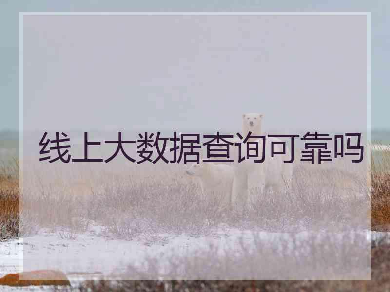 线上大数据查询可靠吗