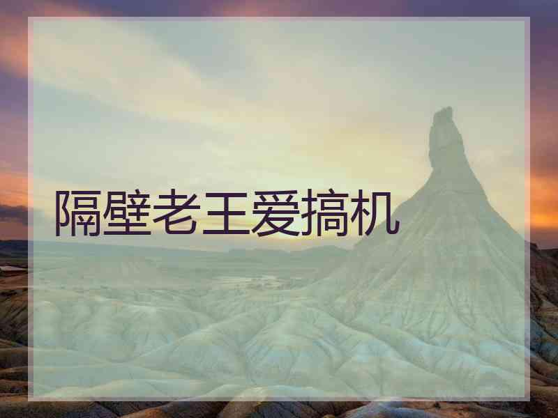 隔壁老王爱搞机