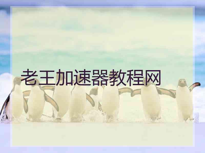 老王加速器教程网