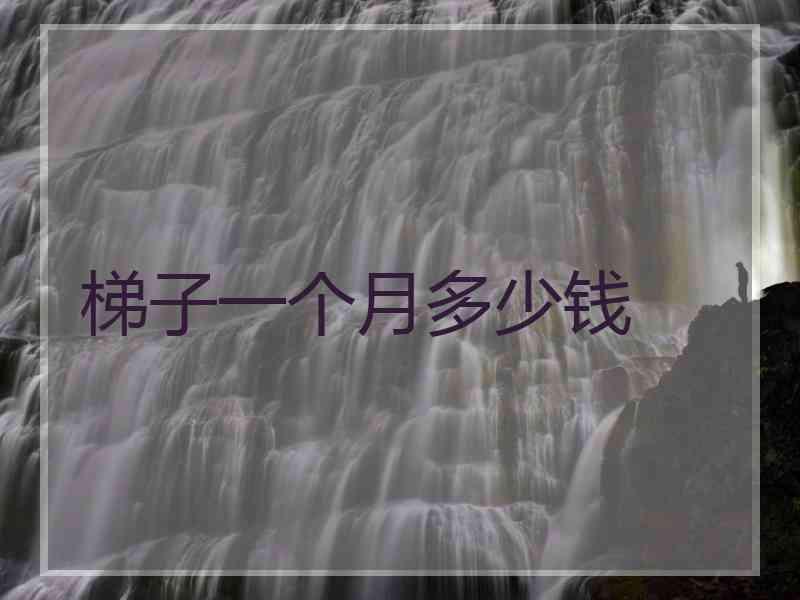 梯子一个月多少钱