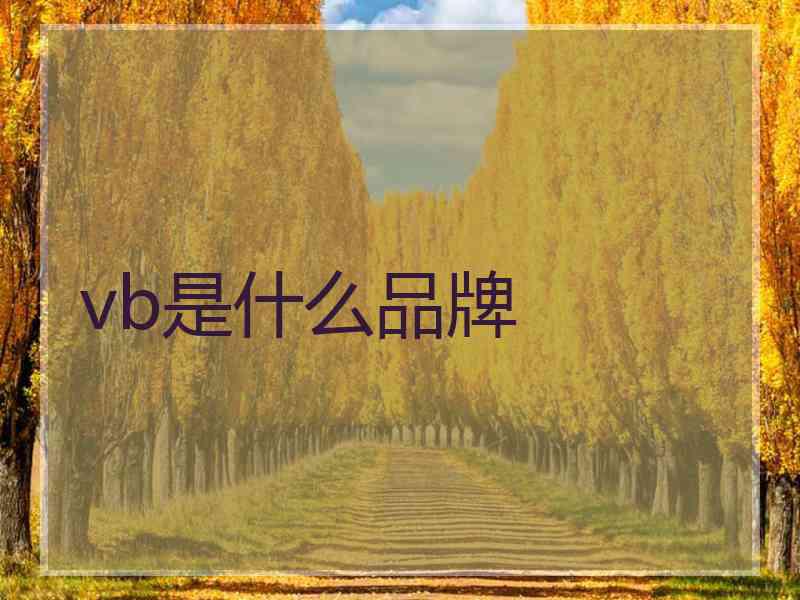 vb是什么品牌