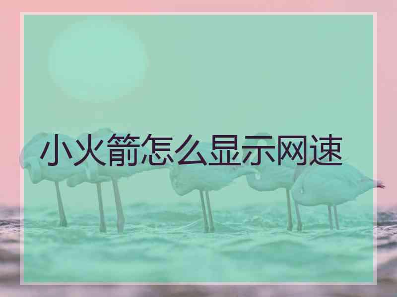 小火箭怎么显示网速