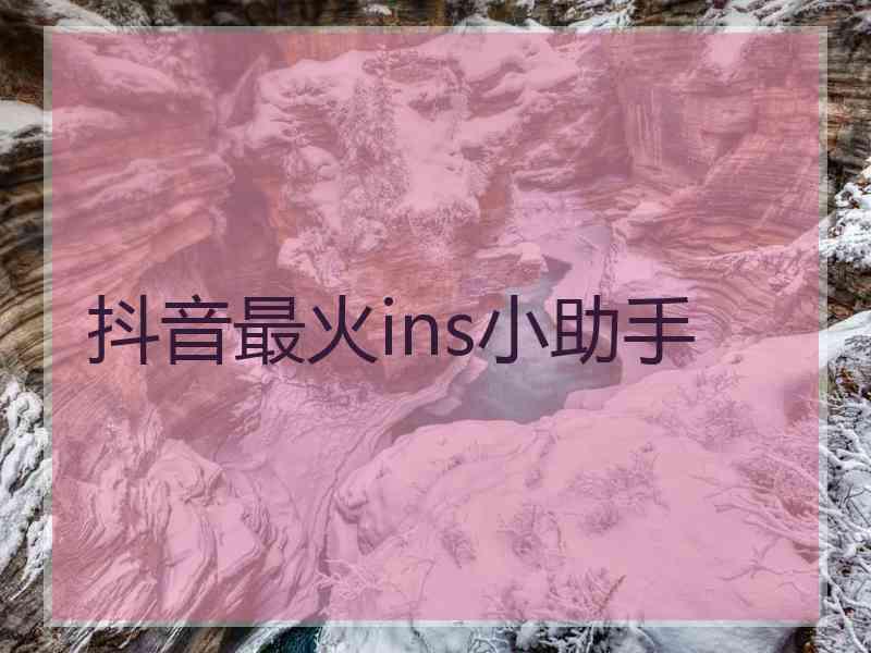 抖音最火ins小助手