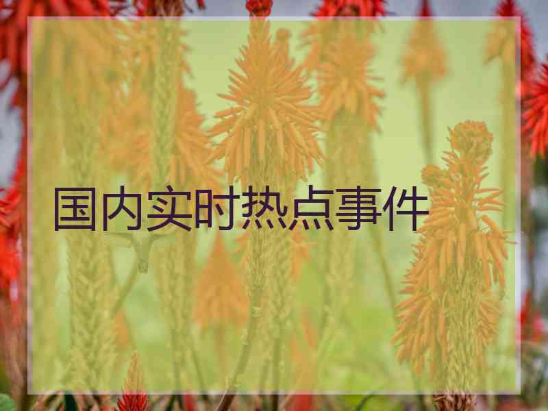 国内实时热点事件