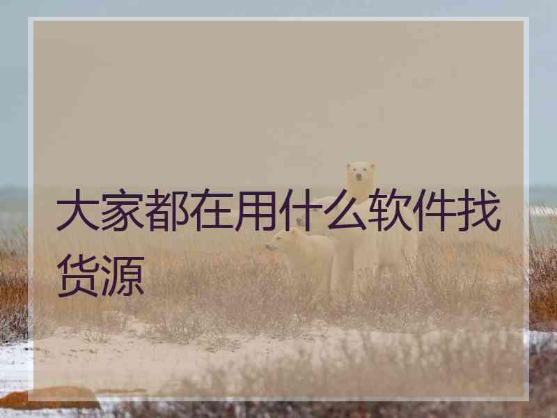 大家都在用什么软件找货源