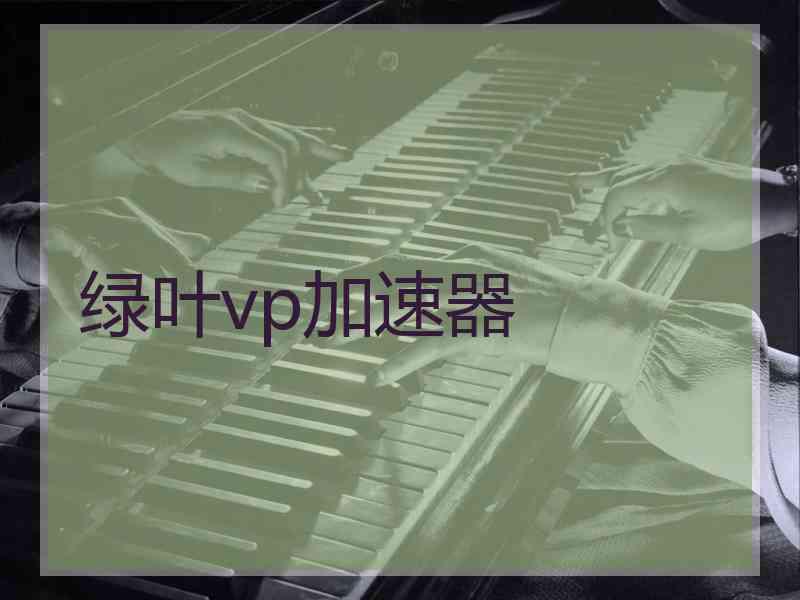 绿叶vp加速器