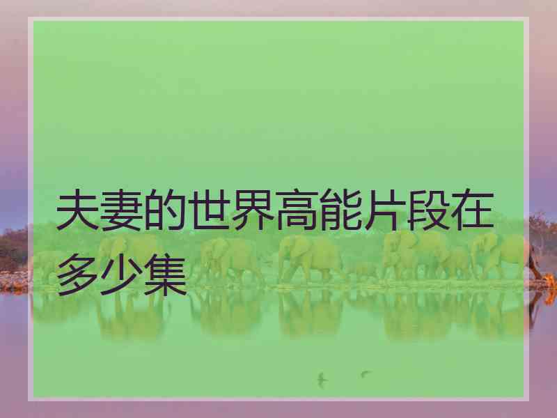 夫妻的世界高能片段在多少集