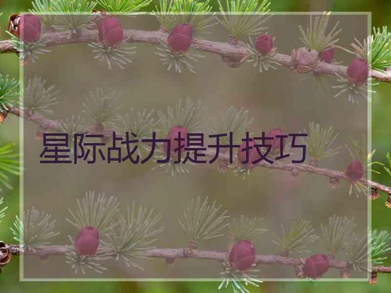 星际战力提升技巧
