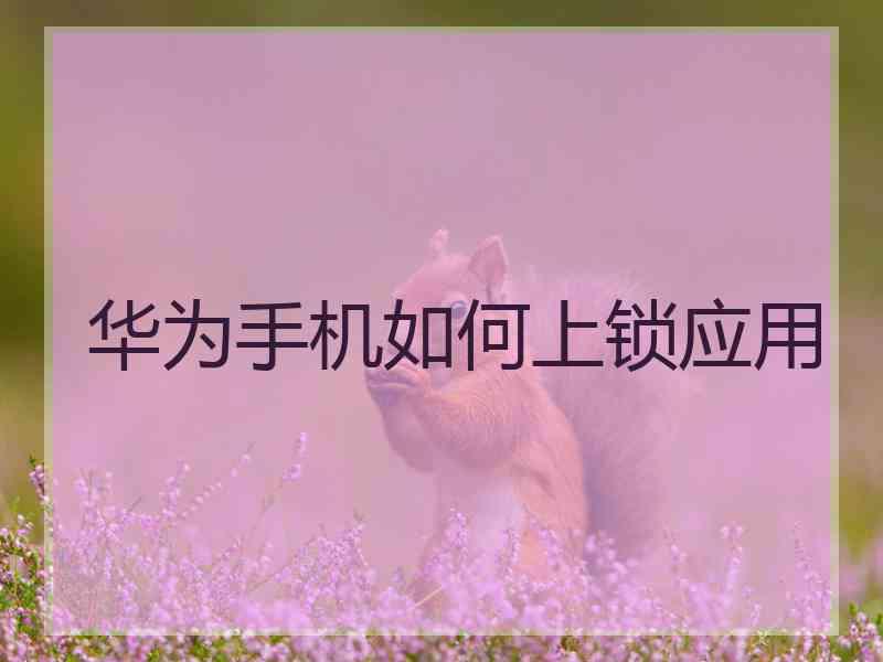 华为手机如何上锁应用