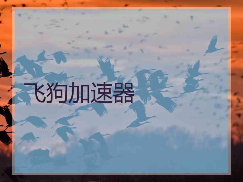 飞狗加速器