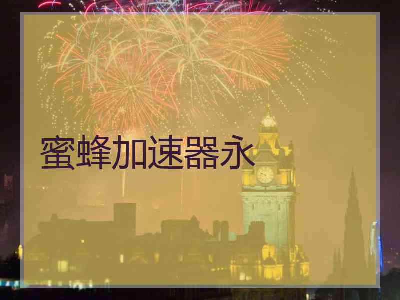 蜜蜂加速器永