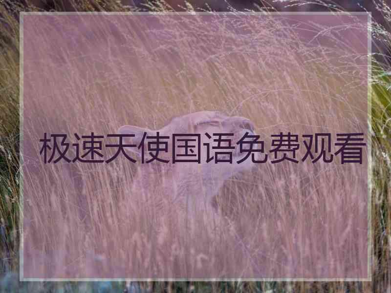 极速天使国语免费观看