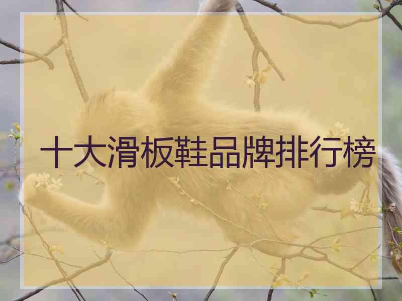 十大滑板鞋品牌排行榜