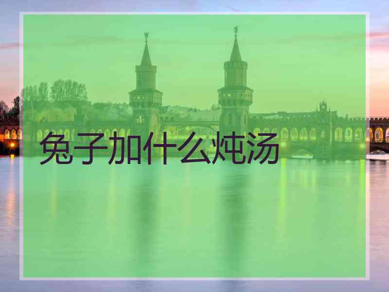 兔子加什么炖汤
