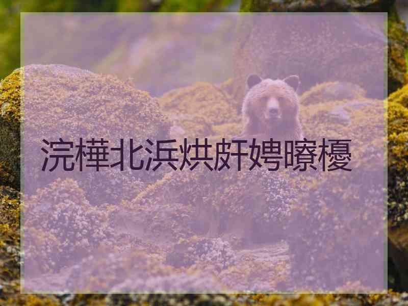 浣樺北浜烘皯娉曢櫌