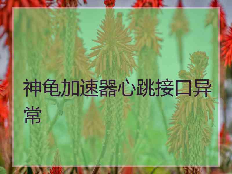 神龟加速器心跳接口异常