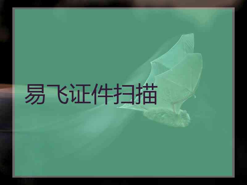 易飞证件扫描