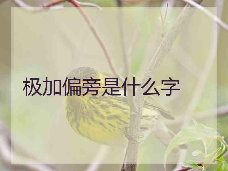 极加偏旁是什么字