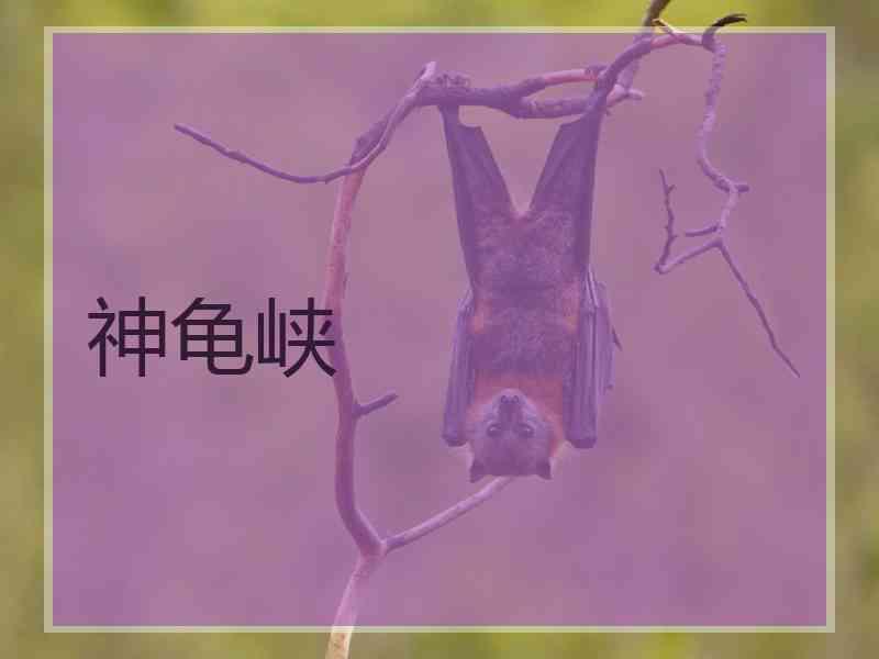 神龟峡