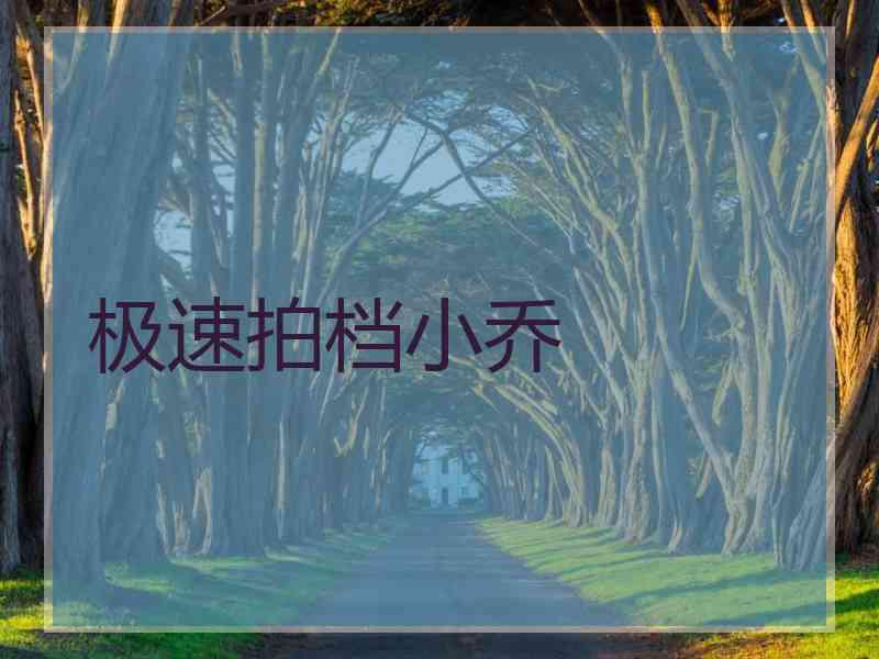 极速拍档小乔