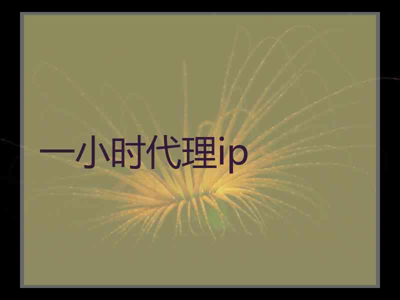 一小时代理ip
