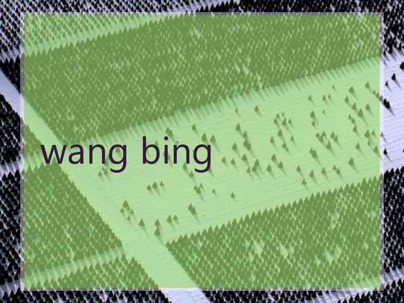 wang bing