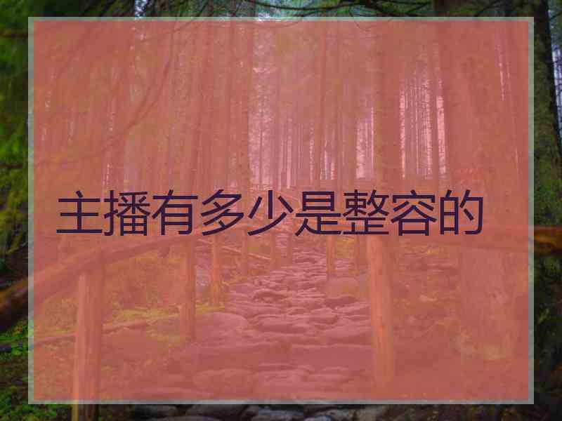 主播有多少是整容的