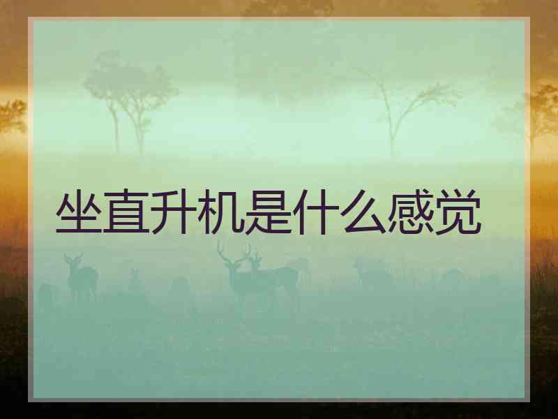 坐直升机是什么感觉