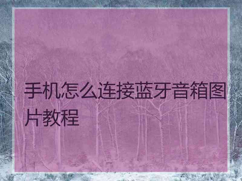 手机怎么连接蓝牙音箱图片教程