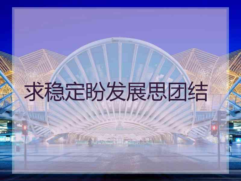 求稳定盼发展思团结