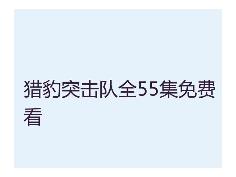 猎豹突击队全55集免费看