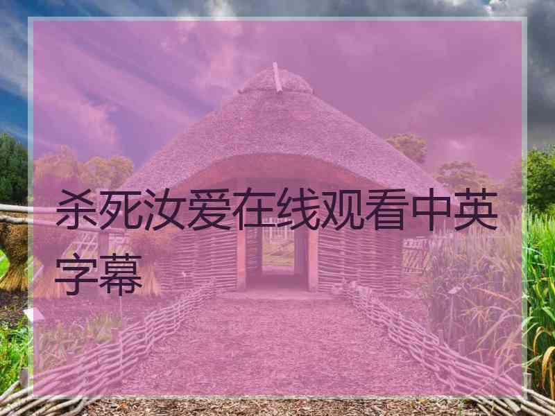 杀死汝爱在线观看中英字幕