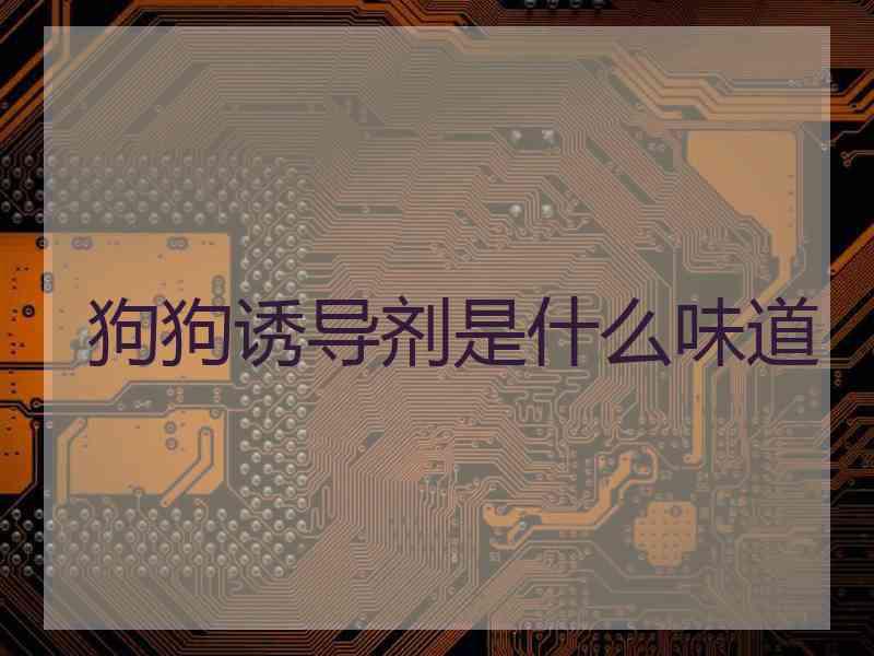狗狗诱导剂是什么味道