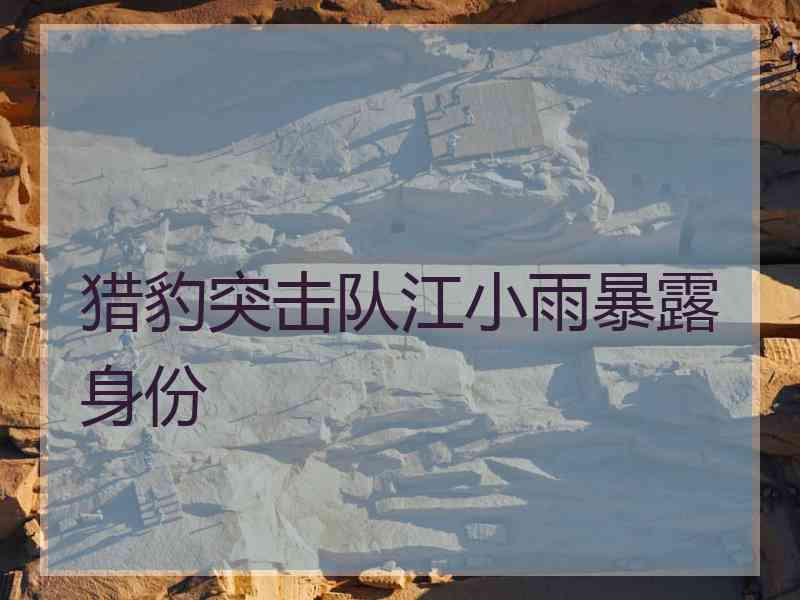 猎豹突击队江小雨暴露身份