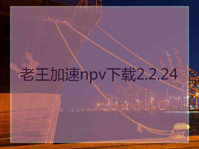 老王加速npv下载2.2.24