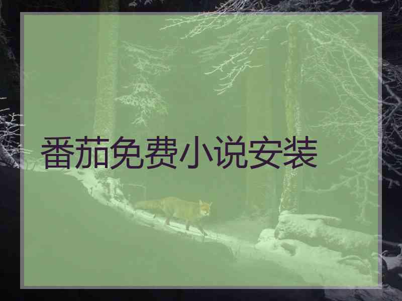 番茄免费小说安装