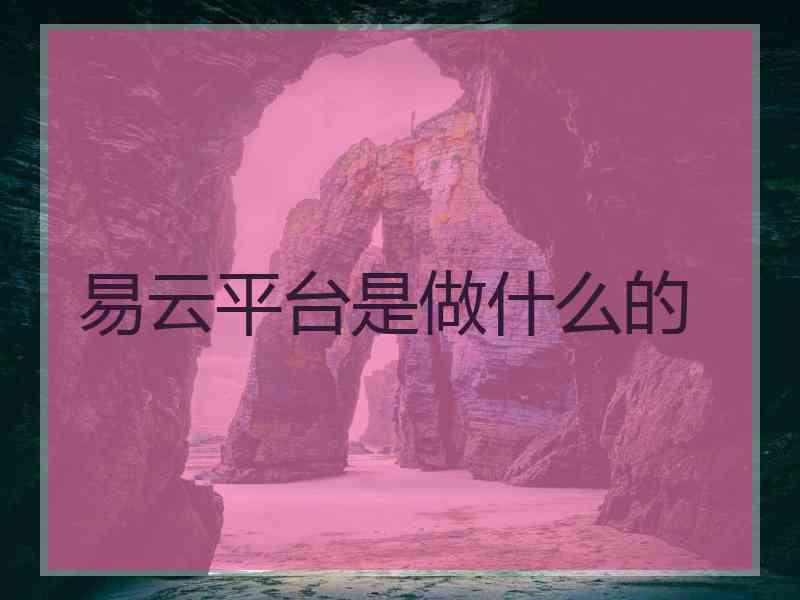 易云平台是做什么的