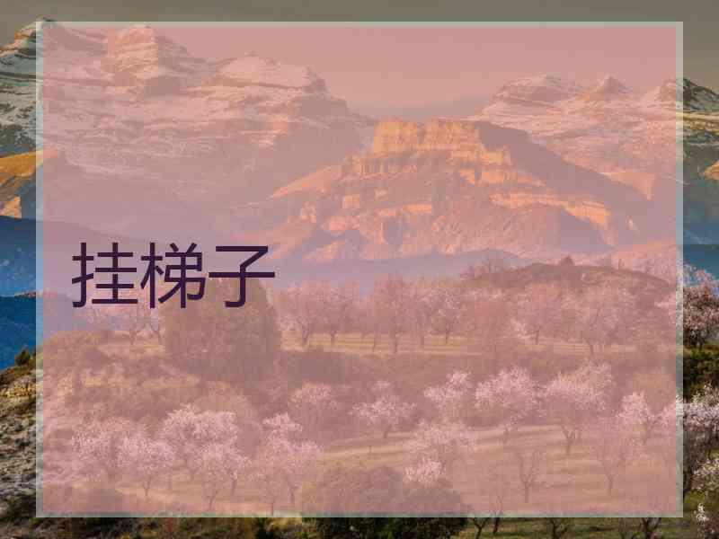 挂梯子